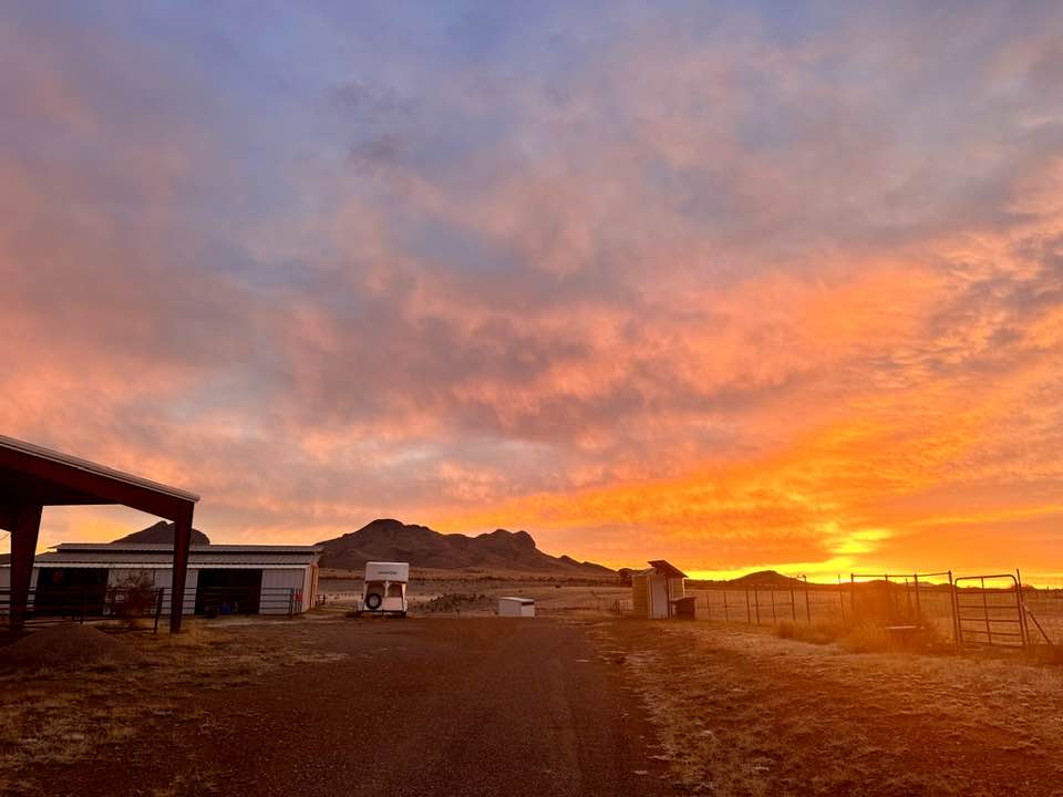 The PRT Weekly News Bulletin for Jan. 28-Feb. 3, 2026