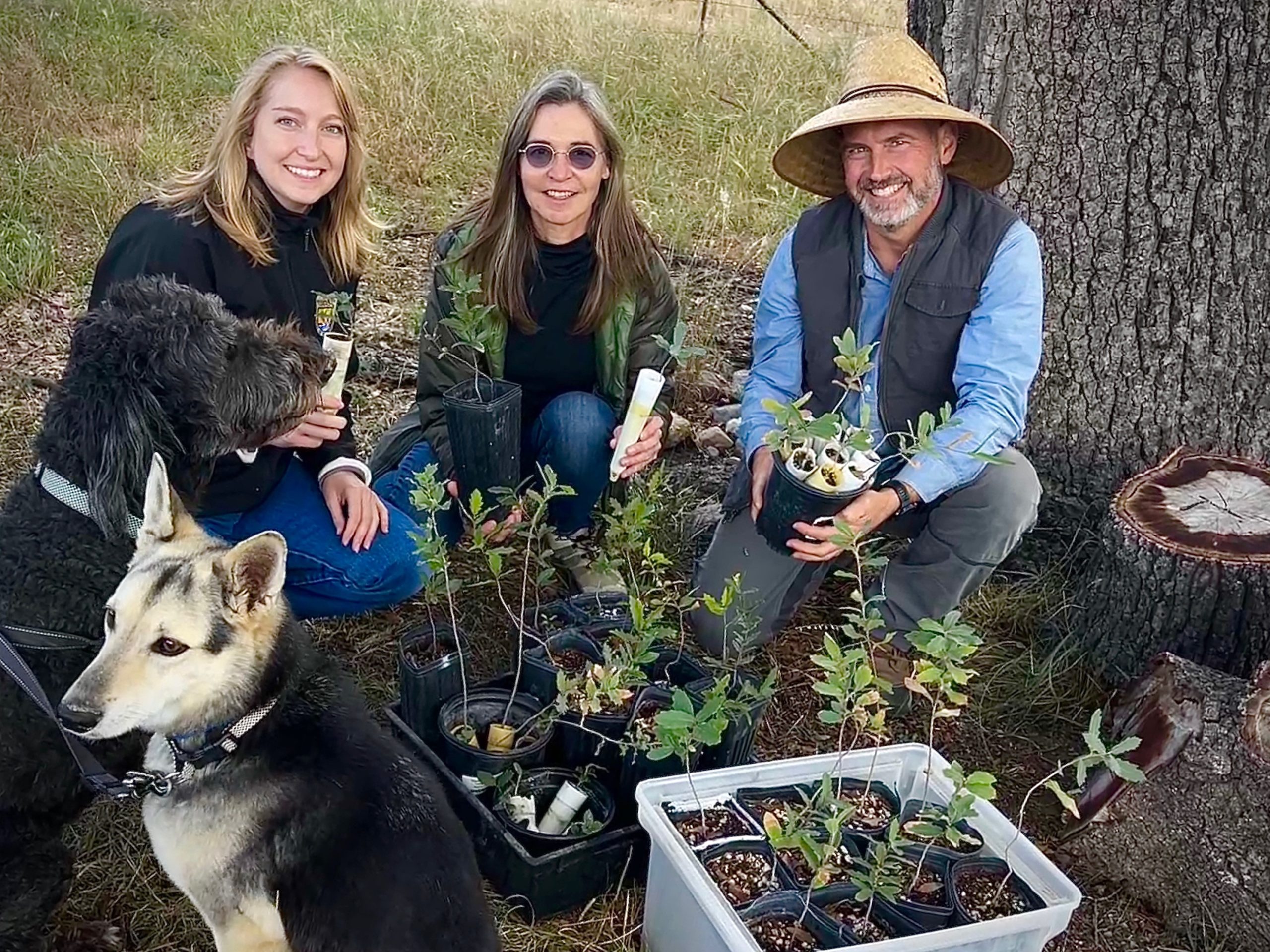 Wildlife Habitat Restoration, One Step at a Time