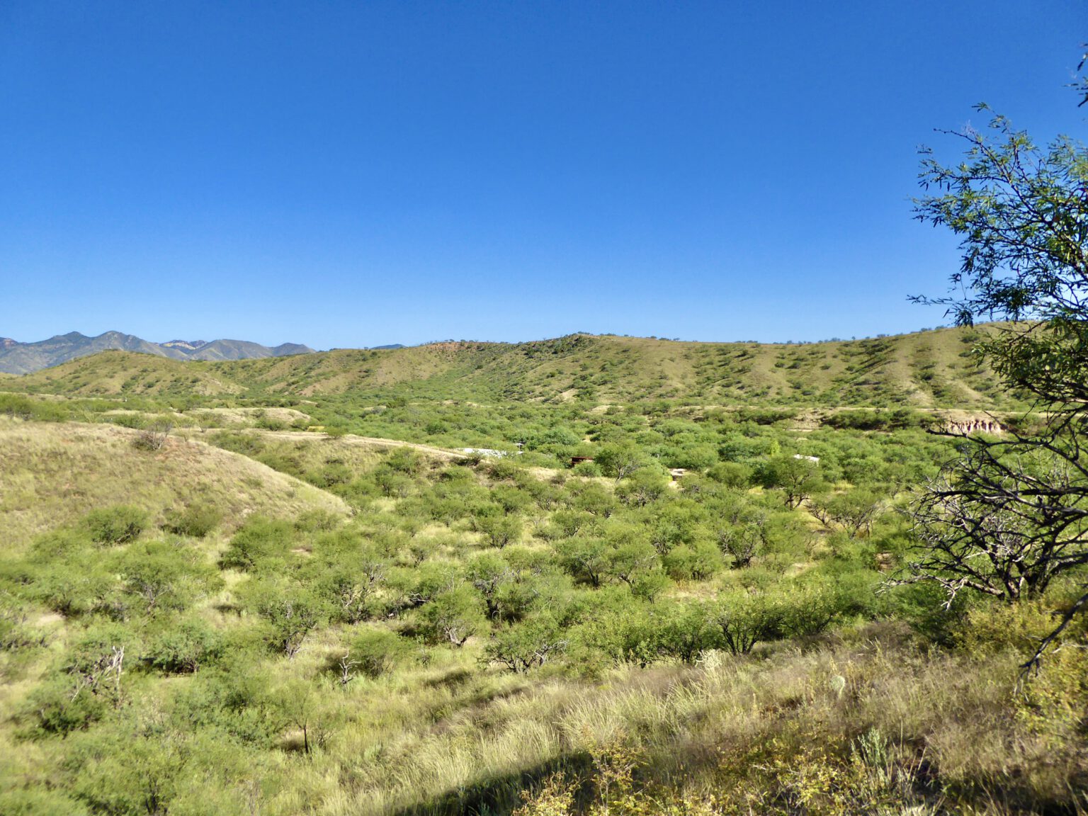 Nature Journeys: Build your own national park, part II - Patagonia Regional Times
