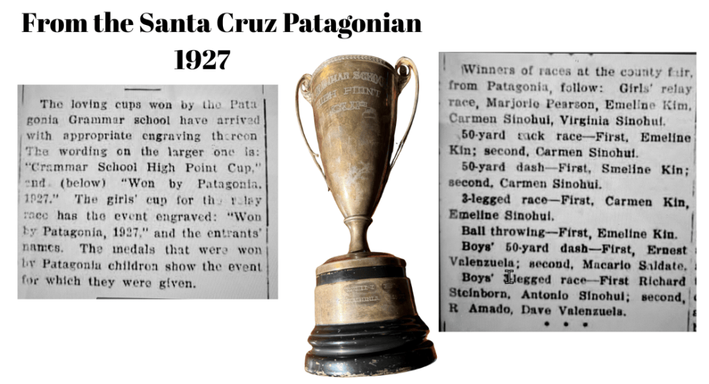 What Is That?: Mystery solved! - Patagonia Regional Times
