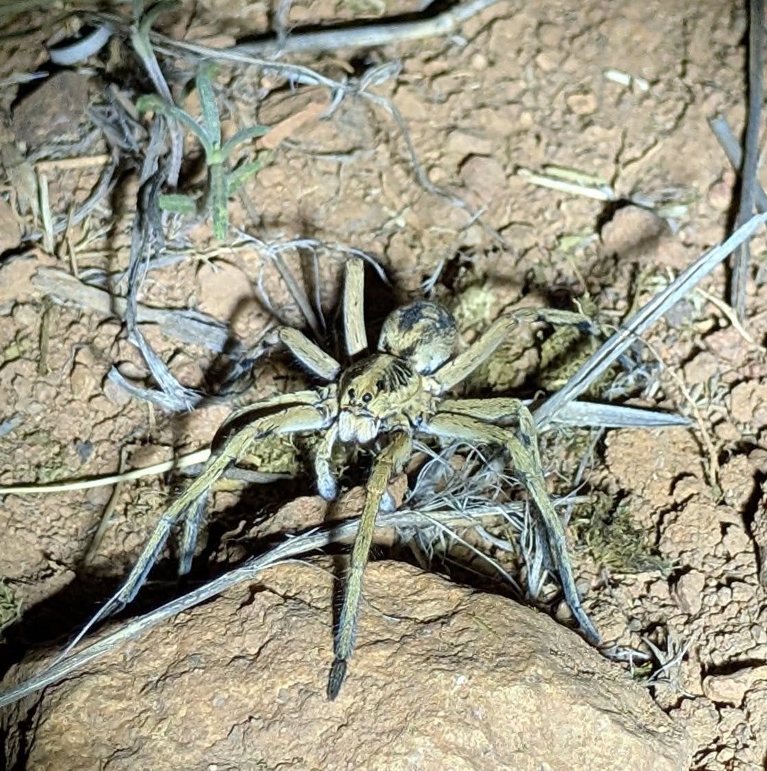 The PRT Weekly News Bulletin for April 22-28, 2026