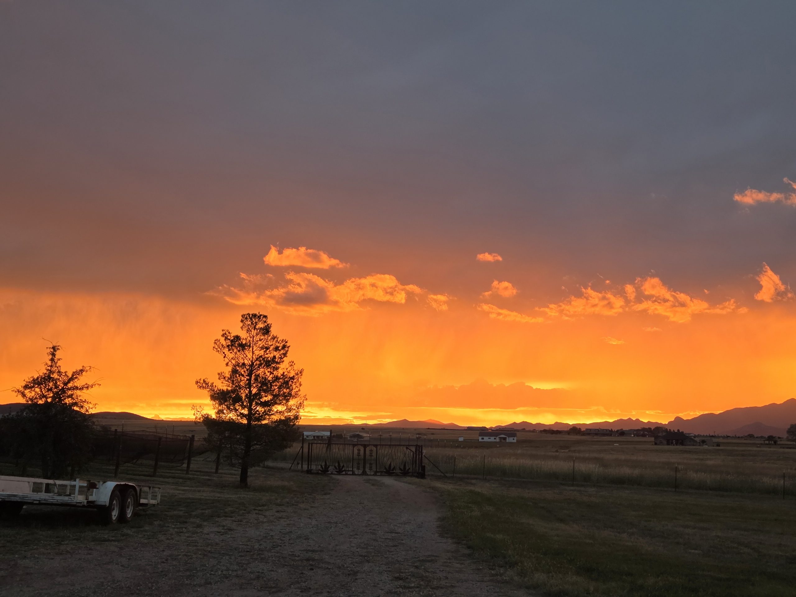 The Patagonia Regional Times Weekly News Bulletin for Oct. 7-13